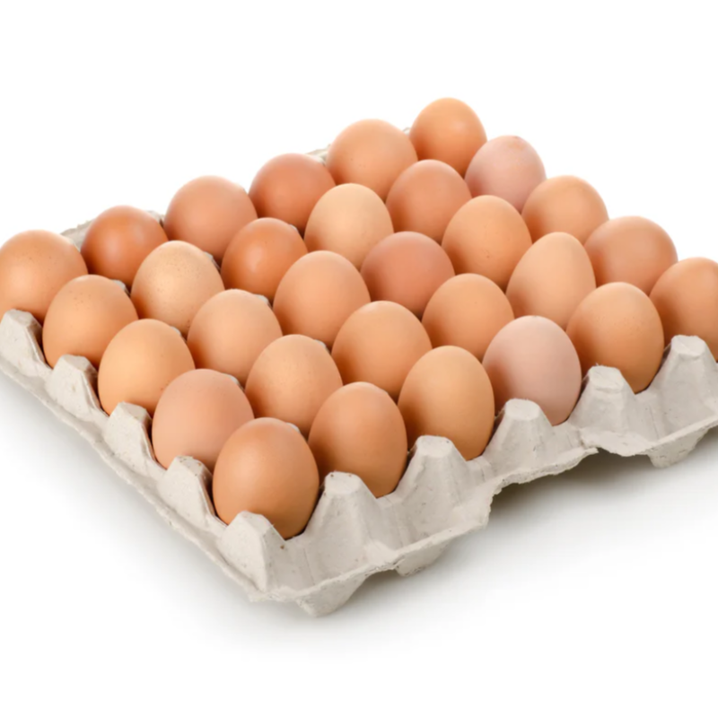 Egg MS size 20 pack in a case