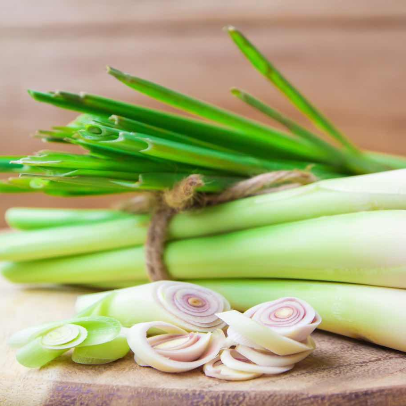 Lemon Grass